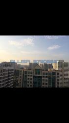Butterworth 8 (D15), Condominium #83663502